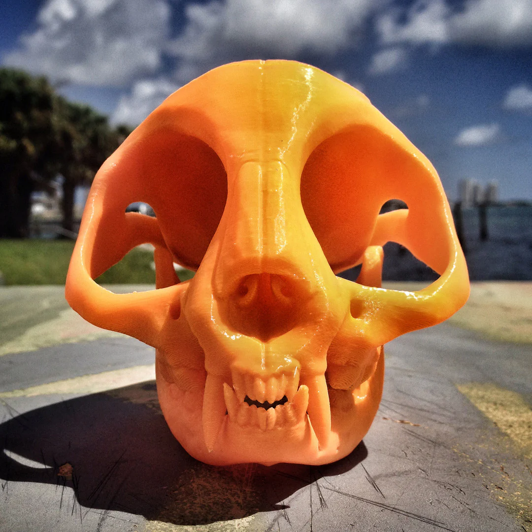 BONEHEADS Redux Set - S2 - Image 5